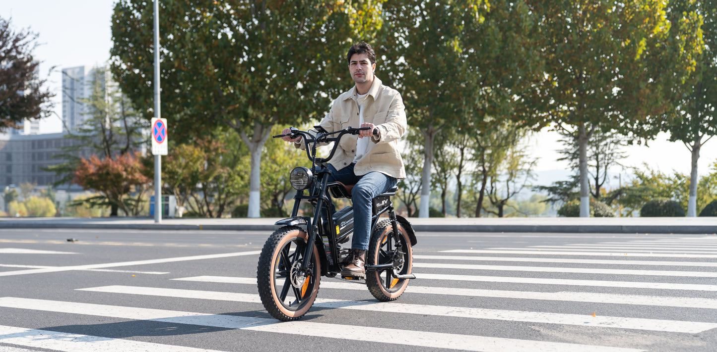 EVERCROSS EK30 Elektrofahrrad