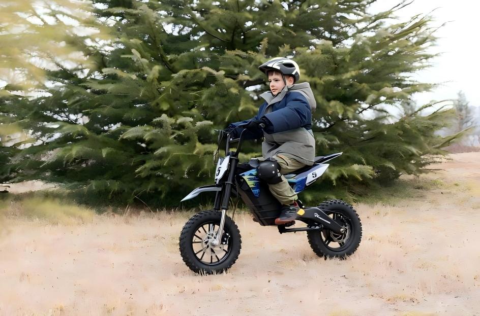 Recommended Motorcycles for Kidstemplate--26125311803766__collection_banner_P44gQE