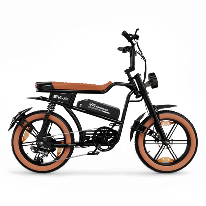 EVERCROSS EK30 Elektrofahrrad