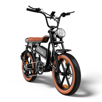 EVERCROSS EK30 Elektrofahrrad