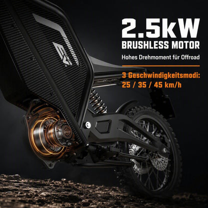 EVERCROSS EV22M E-Motorroller mit Straßenzulassung