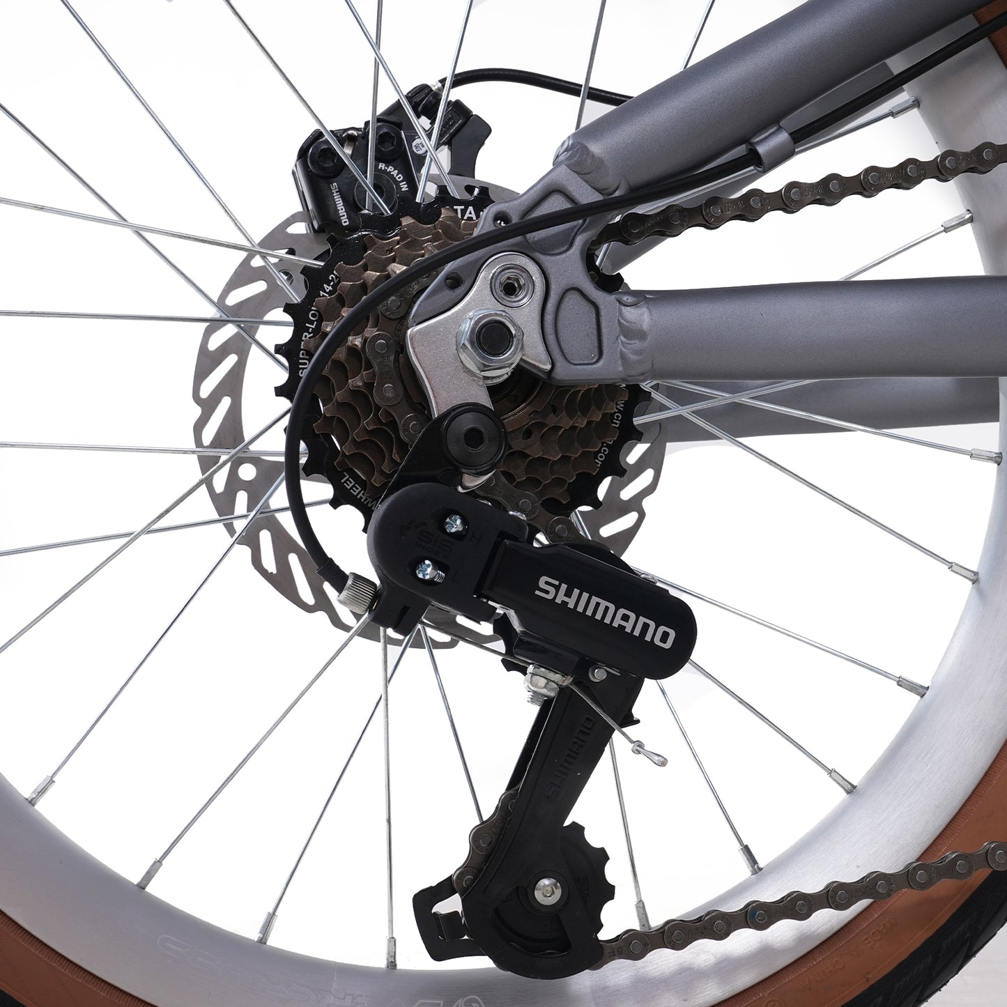 EVERCROSS EM1 20-Zoll-Klaprad