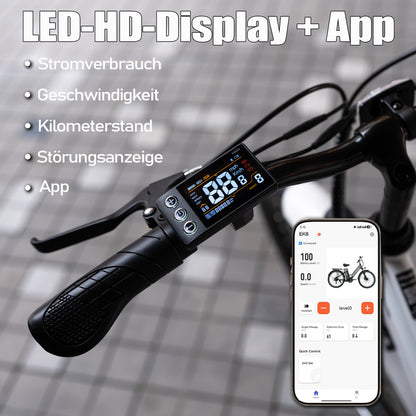 EVERCROSS EK8S Elektrofahrrad