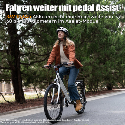 EVERCROSS EK8S Elektrofahrrad