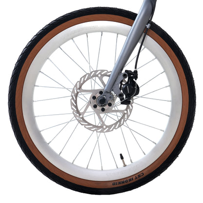 EVERCROSS EM1 20-Zoll-Klaprad